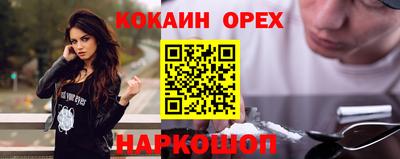 дмт Будённовск