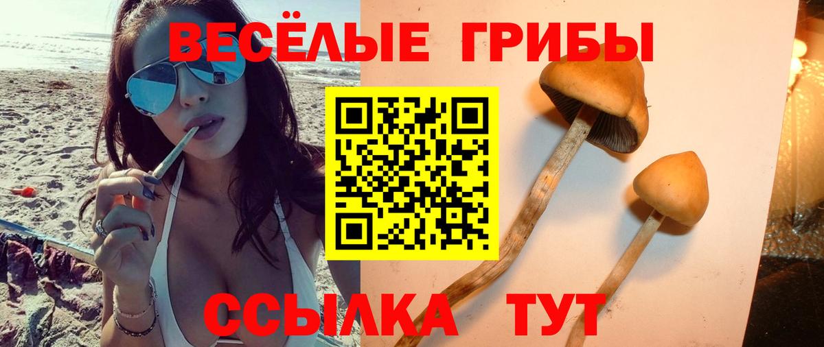 Верхний Уфалей  Галлюциногенные грибы Psilocybe  где купить наркотик  Вход с VPN  Галлюциногенные грибы GOLDEN TEACHER 