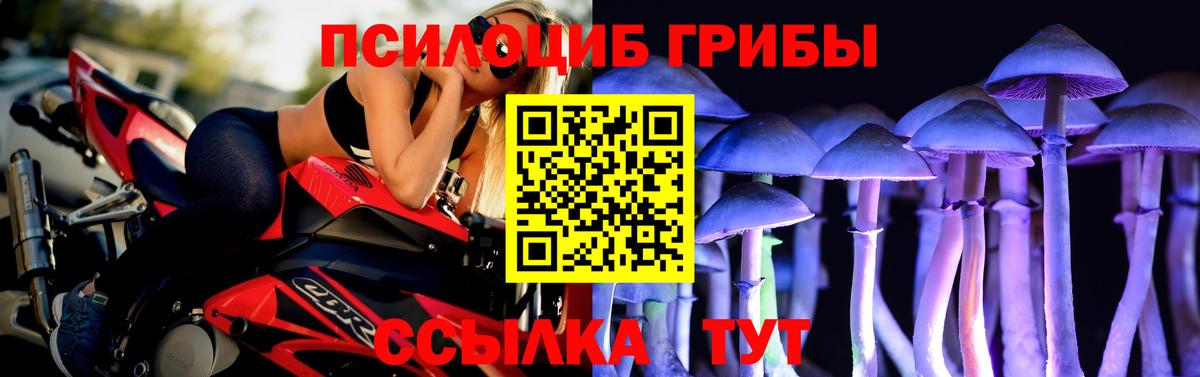 Псилоцибиновые грибы Psilocybe Верхний Уфалей